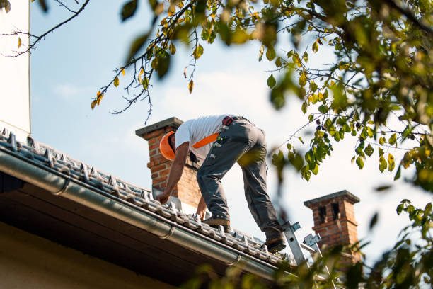 Fast & Reliable Emergency Roof Repairs in Mount Pleasant, UT